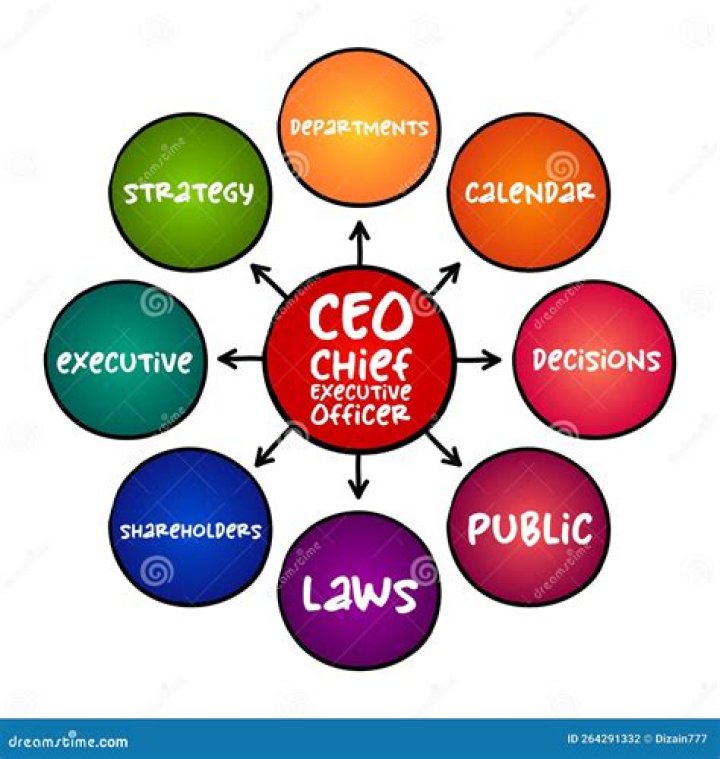 What does the chief academic officer do?