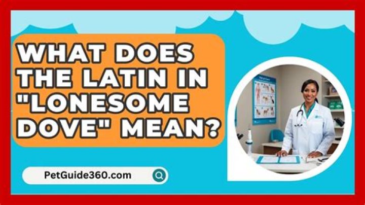 What does the Latin sign in Lonesome Dove mean?