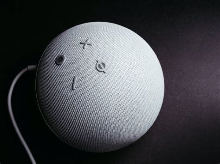 What does the probe button do on an oven?