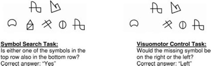 What does the symbol search subtest measure?