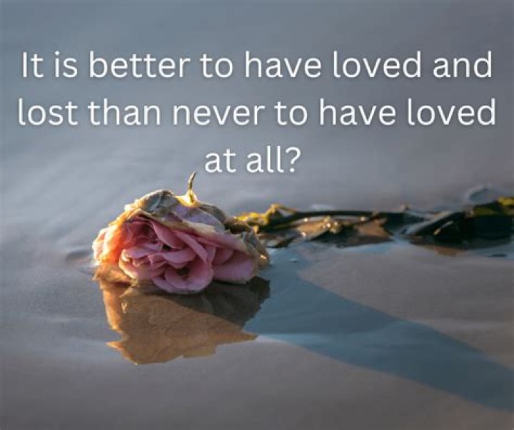 What does Tis better to have loved and lost than never to have loved at all mean?