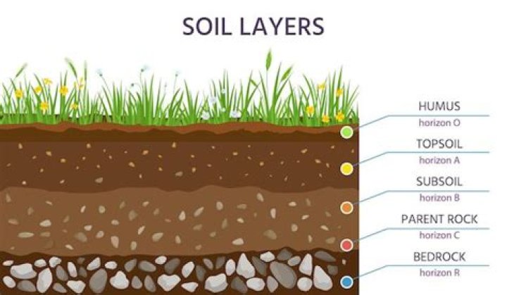 What does top soil look like?