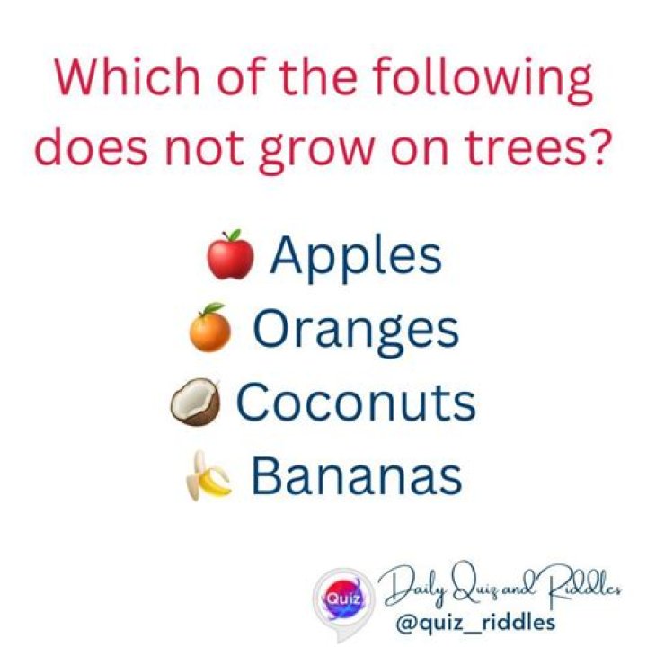 What fruit does not grow on trees?