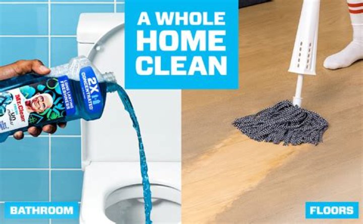 What gender is Mr Clean?