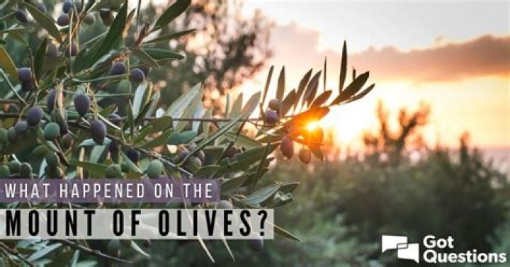 What happened on the Mount of Olives?