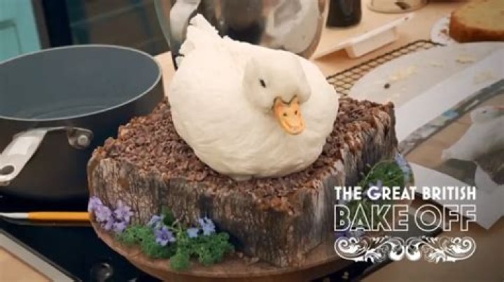 What Happened To Noel Fielding From Great British Bake Off? Everything To Know