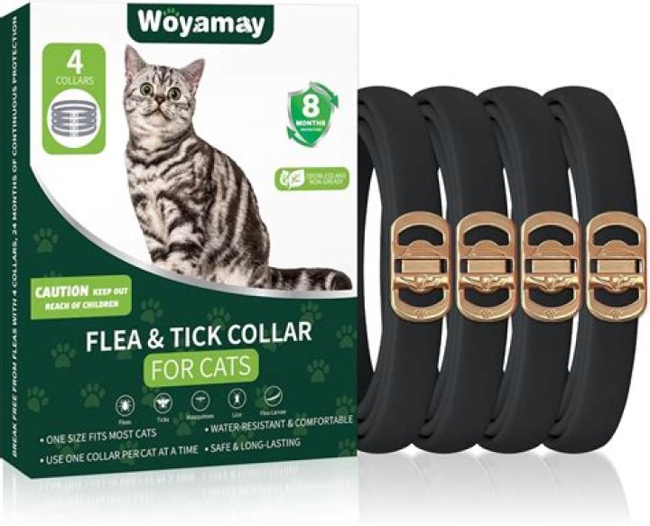 What happens if my cat licks her flea collar?