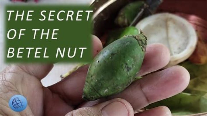 What happens if you chew food but spit it out?