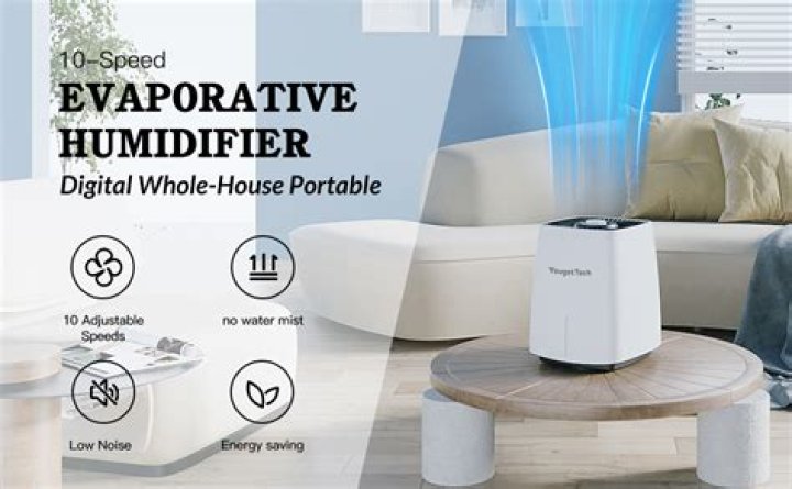 What happens if you run a humidifier without water?