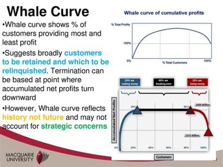 What information does the whale curve provide?