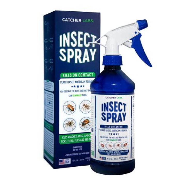What insect killer is safe for pets?