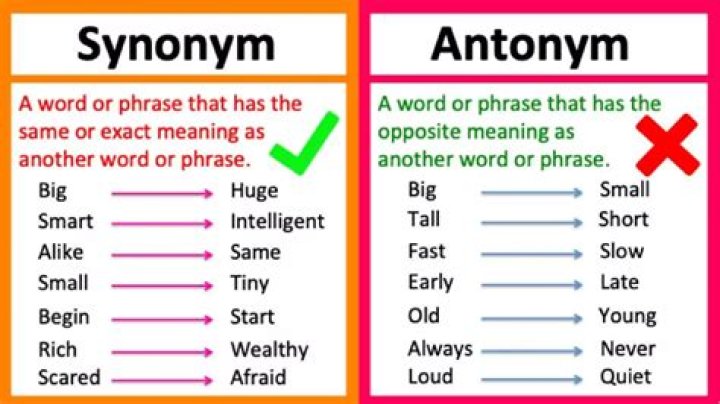 What is a antonym for activist?
