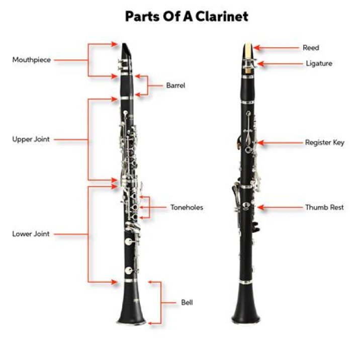 What is a clarinet made of?