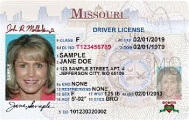 What is a Class E license in Missouri?