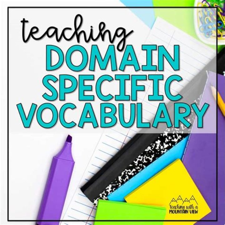 What is a domain specific vocabulary?