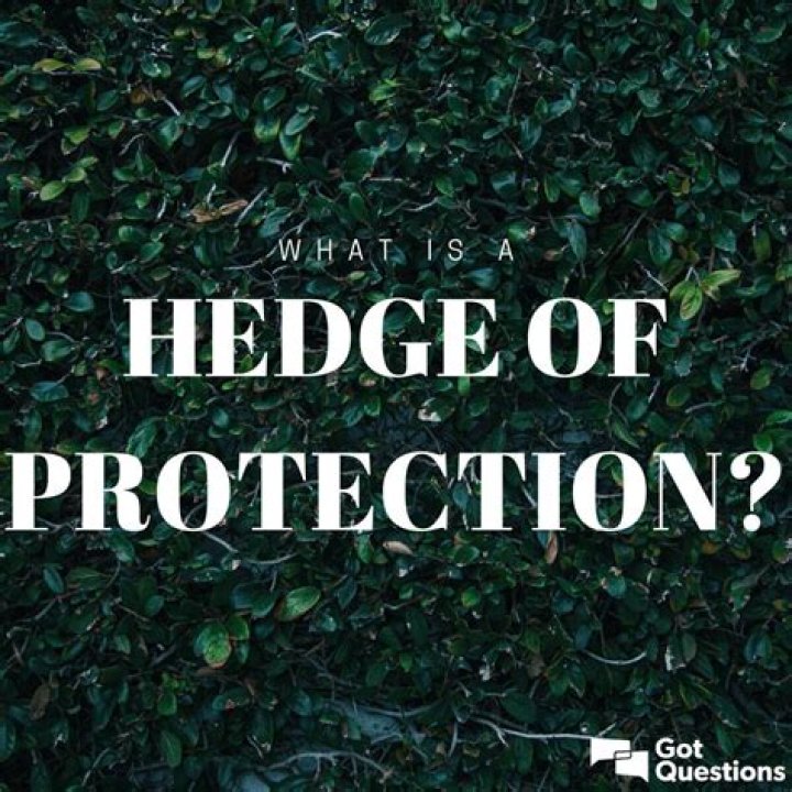 What is a hedge of protection?