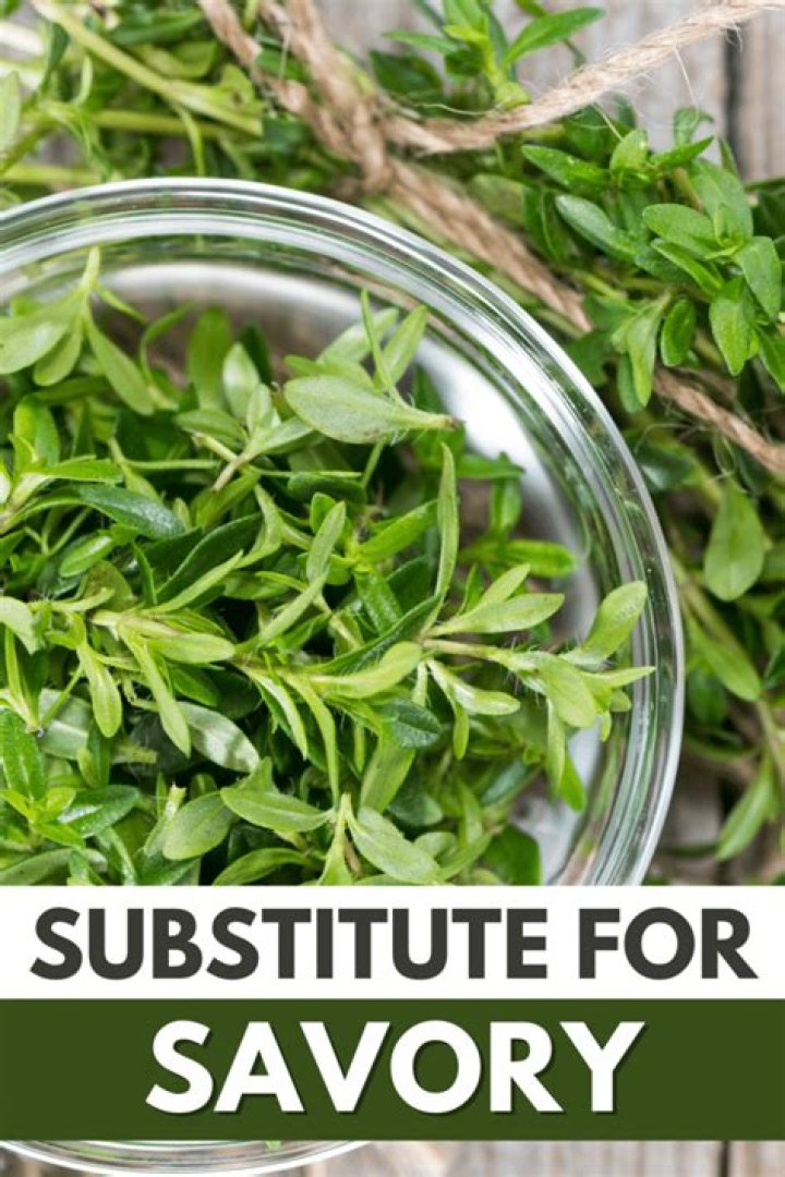 What is a substitute for savory spice?