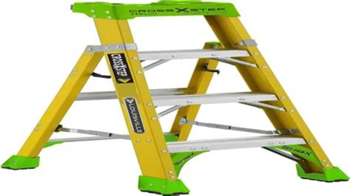 What is a Type 2 ladder?