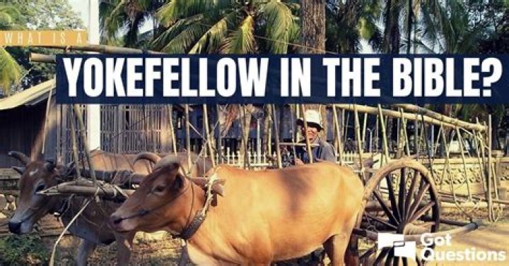 What is a yokefellow in the Bible?