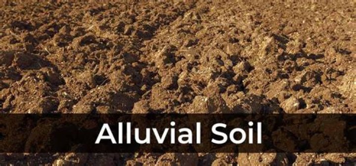 What is Aeolian soil?