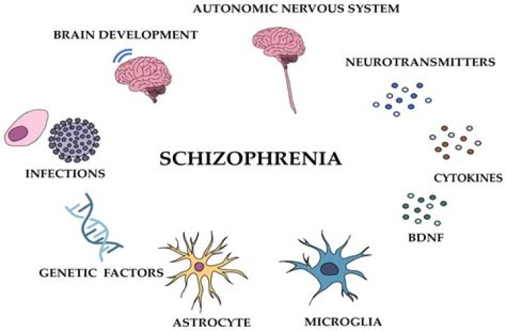 What is ambivalence schizophrenia?