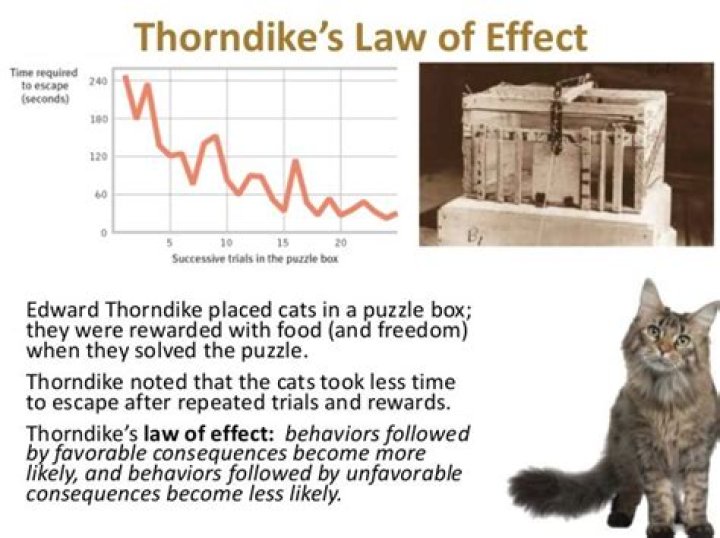 What is an example of Thorndike’s Law of Effect?