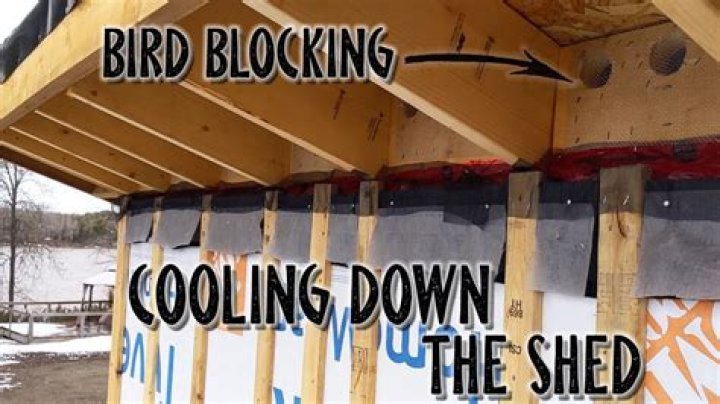 What is bird blocking?