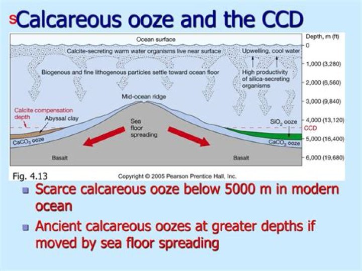 What is calcareous ooze an example of?