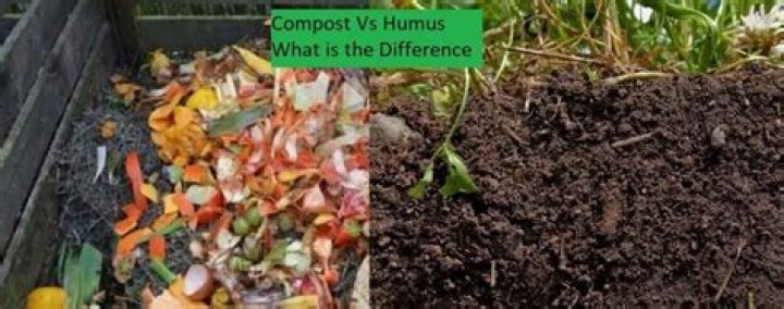 What is compost peat humus?