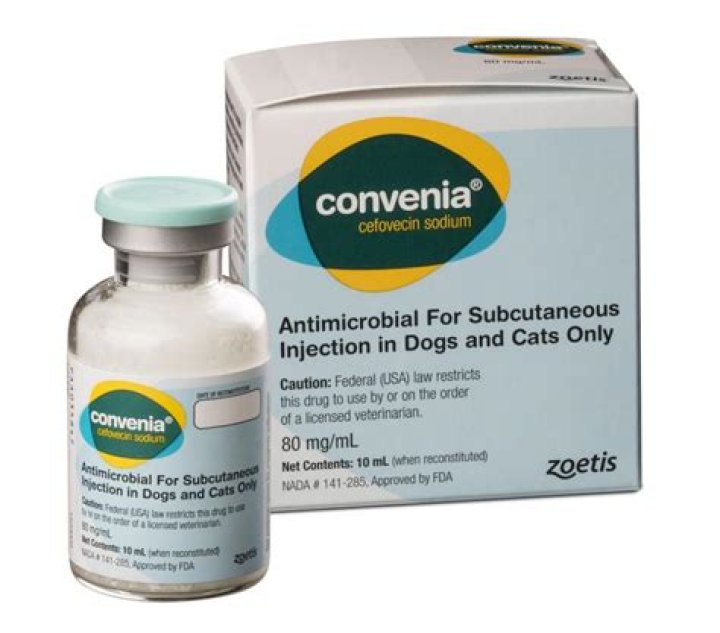 What is Convenia injection for?
