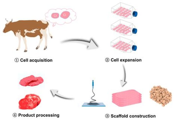 What is fabrication of meat?
