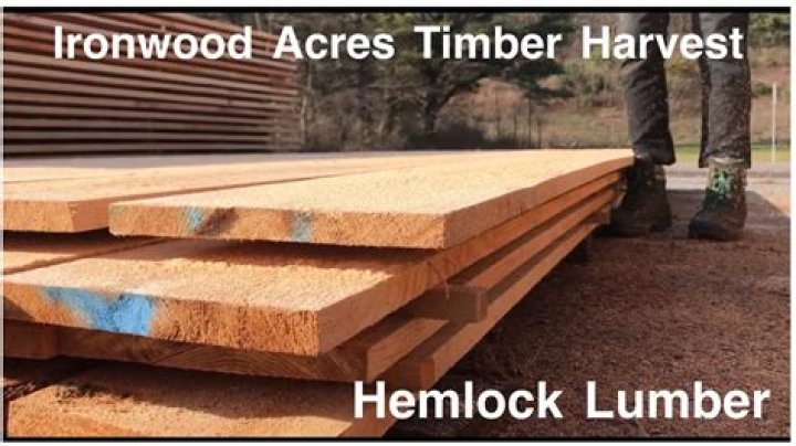 What is hemlock fir lumber?