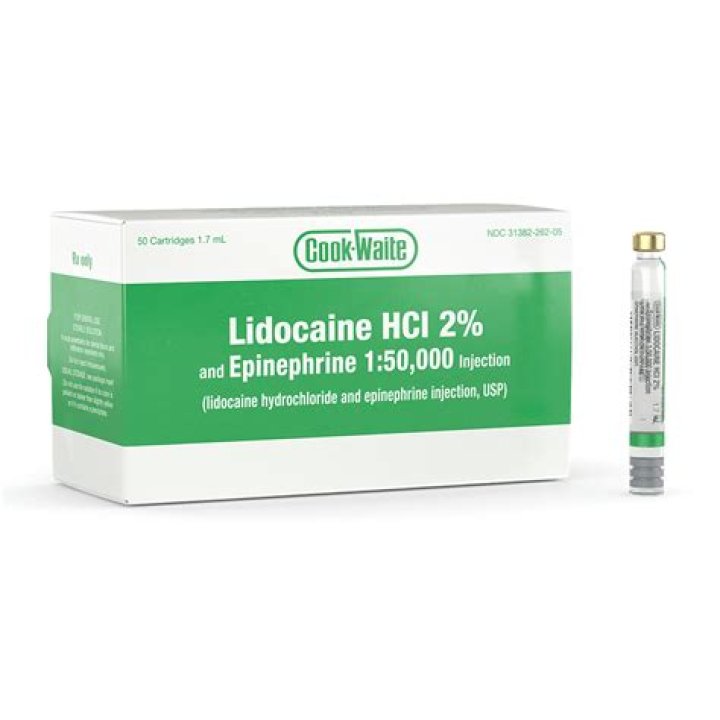 What is lidocaine without epinephrine called?