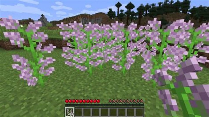What is Lilac in Minecraft?