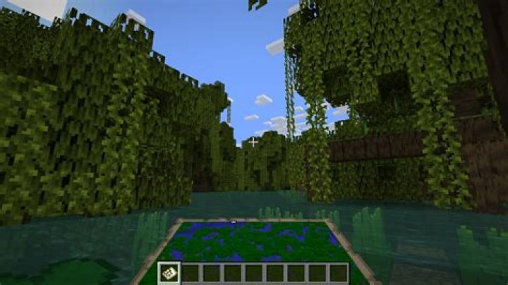 What is Mangrove Log in Minecraft?
