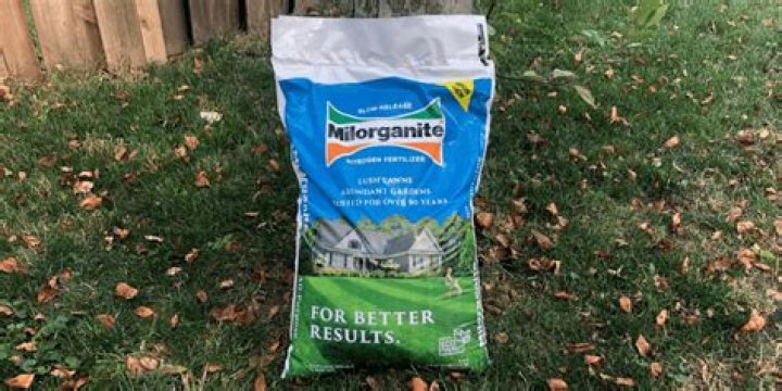 What is milorganite lawn fertilizer?