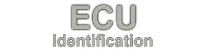 What is my ECU banner ID?