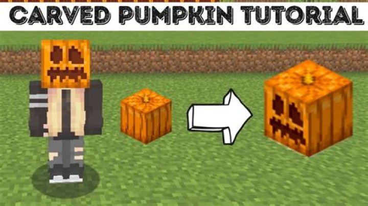 What is Pumpkin in Minecraft?