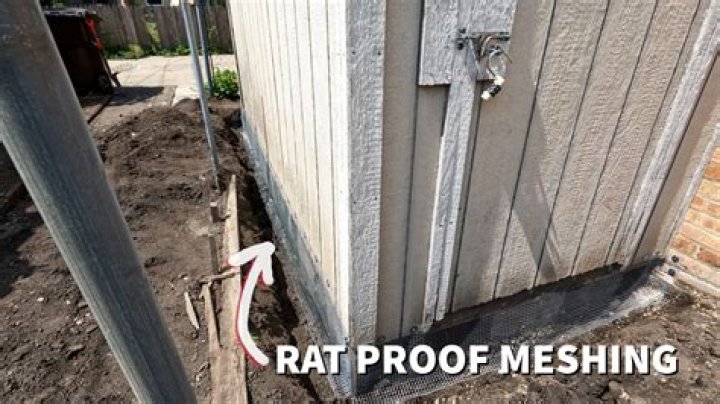 What is rat guard on pole barn?
