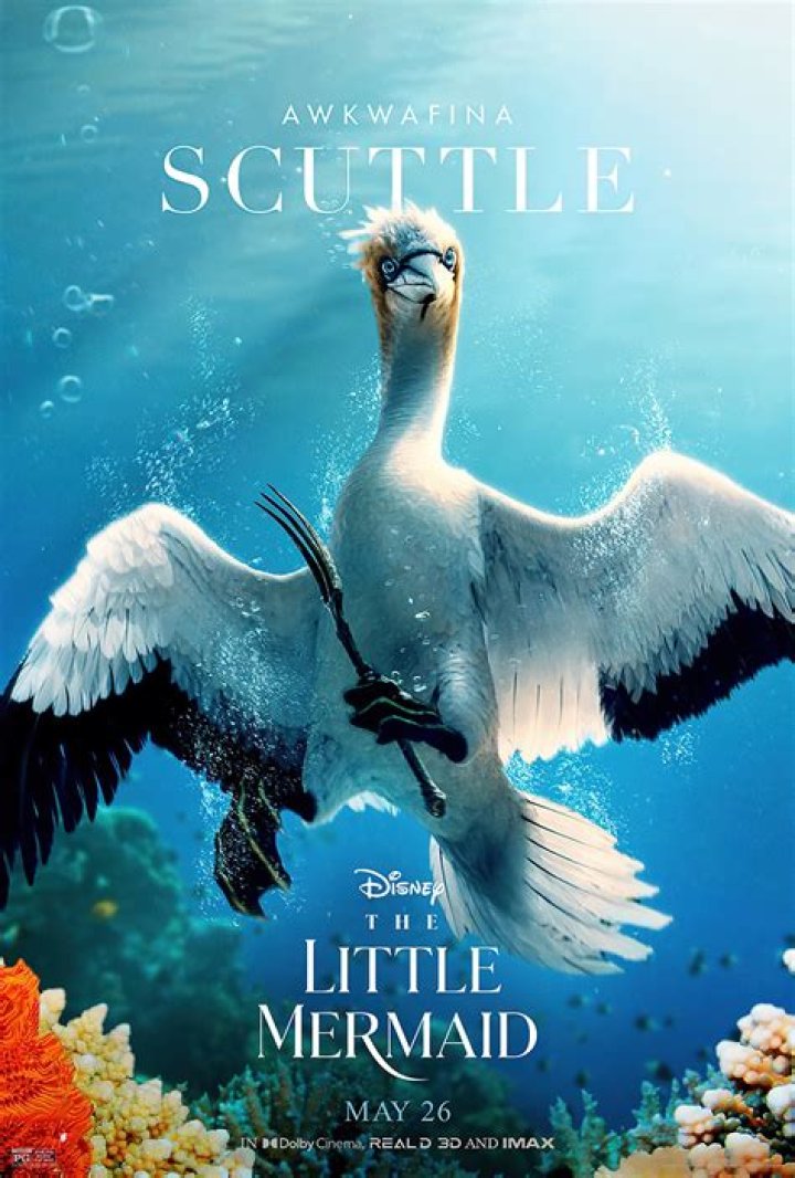 What is scuttle in The Little Mermaid?