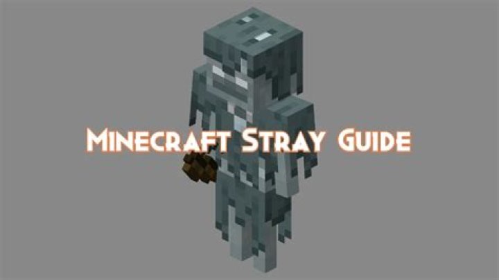 What is Stray in Minecraft?