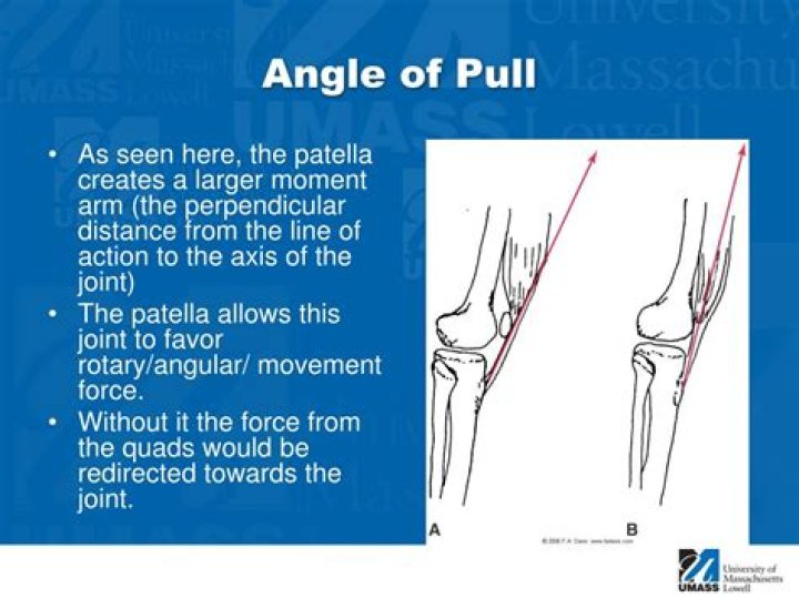 What is the angle of pull kinesiology?