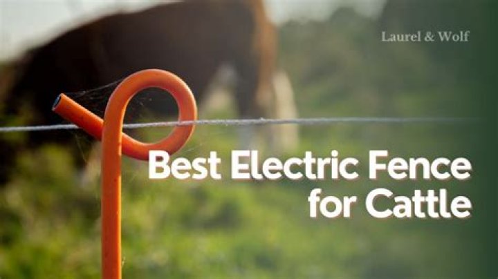 What is the best electric fence for cattle?