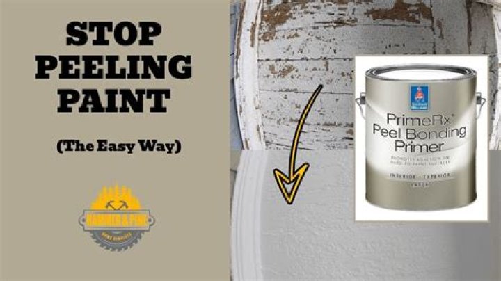 What is the best primer for old plaster walls?