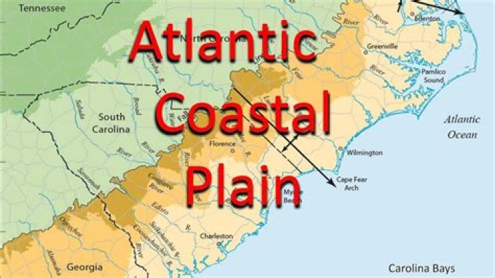 What is the climate of the Atlantic coastal plain?
