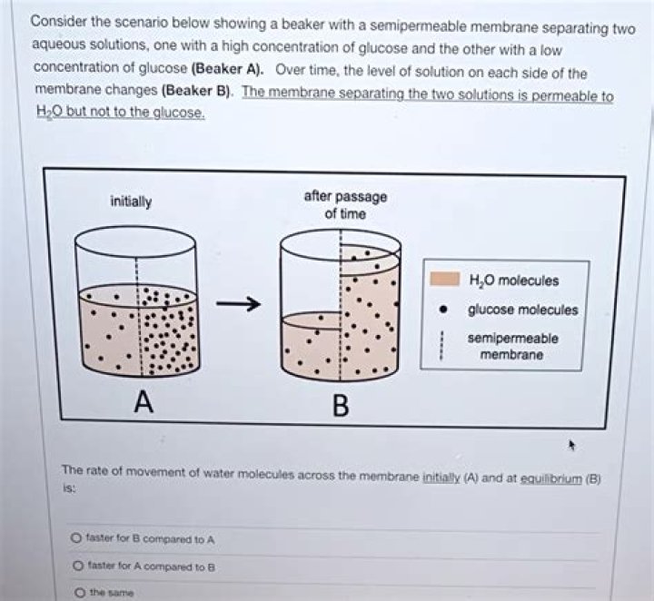 What is the concentration of H+ in pure water at 25 C?