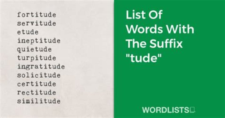 What is the definition of the suffix tude?