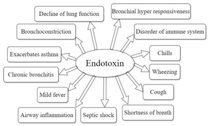 What is the dialysate endotoxin acceptable limit?