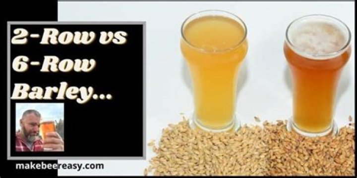 What is the difference between 6 row and 2 row barley?