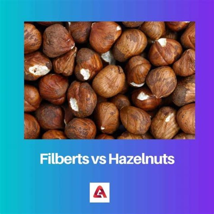 What is the difference between a filbert and a hazelnut?